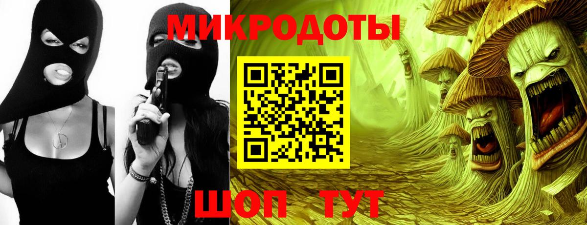Галлюциногенные грибы Psilocybe  Вход с VPN  Псилоцибиновые грибы прущие грибы  Волгоград 