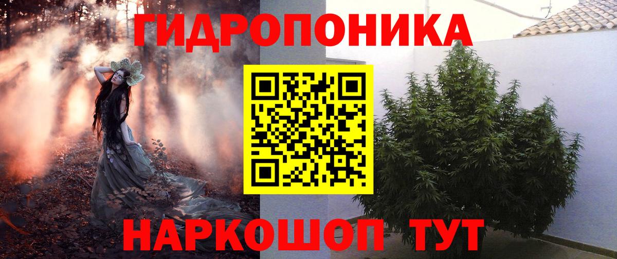 МАРИХУАНА марихуана Волгоград